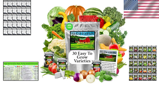 Beginner Survival Seed Vault: 20,000+ Heirloom & Non-GMO Seeds for New Gardeners
