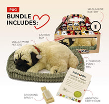 Load image into Gallery viewer, Lifelike Breathing Pug Stuffed Animal - Complete with Accessories &amp; Carrier