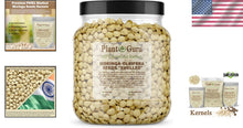 Load image into Gallery viewer, Clean Moringa Seeds - 2 lbs. Wide Mouth Jar - Boosts Energy &amp; Supports Wellness