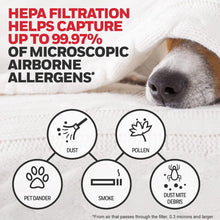 Load image into Gallery viewer, Genuine HEPA Filter Value Kit - Includes Pre-Filter Roll for Odor Reduction