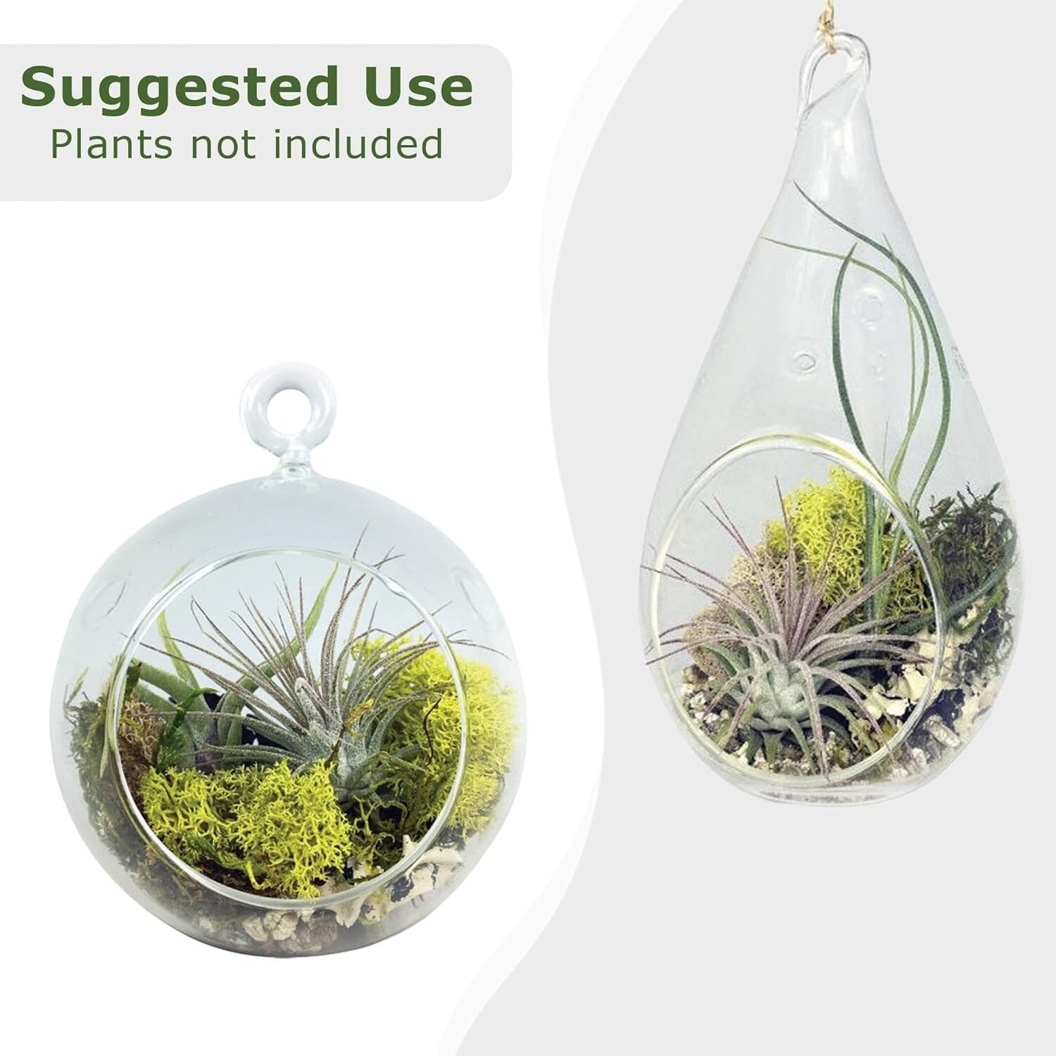 Create Your Own Terrarium with Glass Globe, Moss & Mini Dinosaurs - USA Made