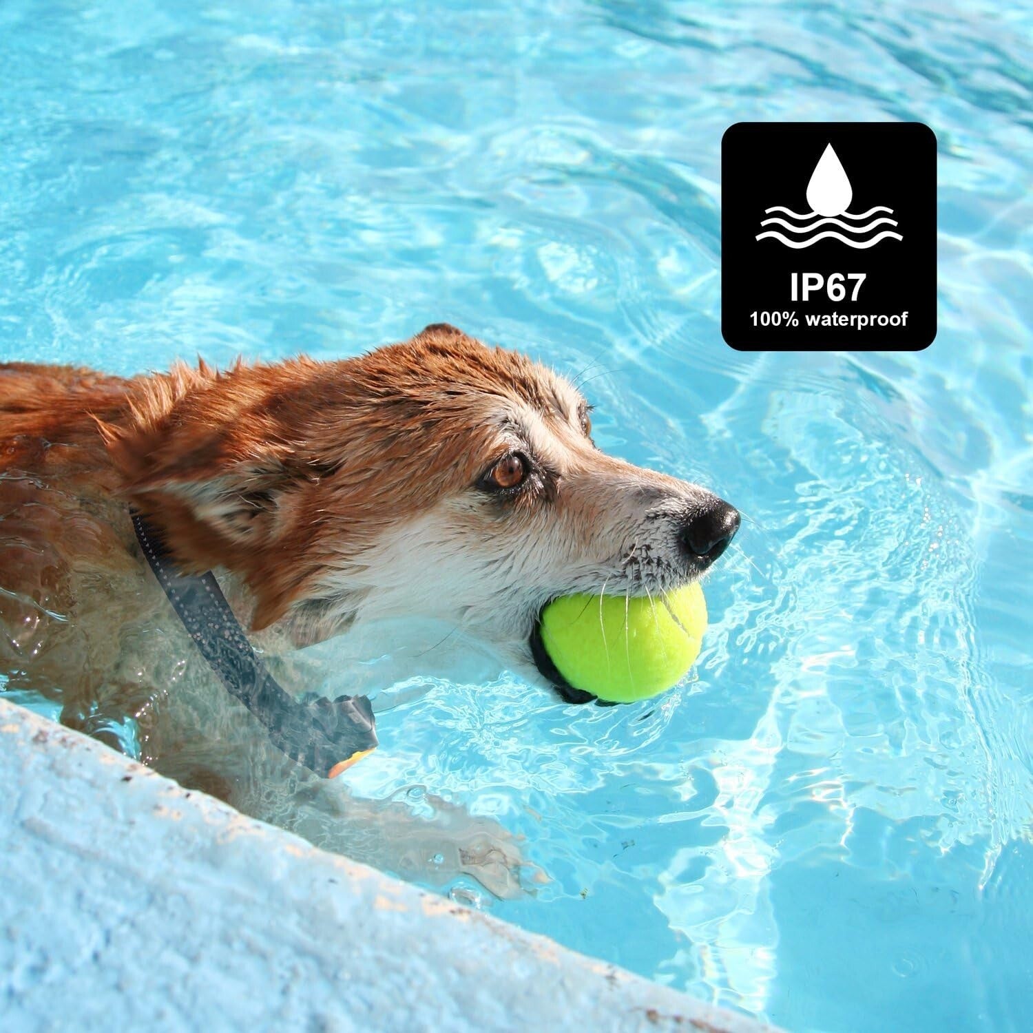 Adjustable Training Collar for Small to Large Dogs - Humane Shock & Vibration