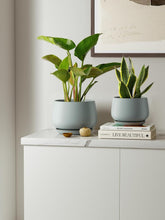Load image into Gallery viewer, Reactive Glaze Ceramic Planters - 3-Piece Set with Drainage for Succulents