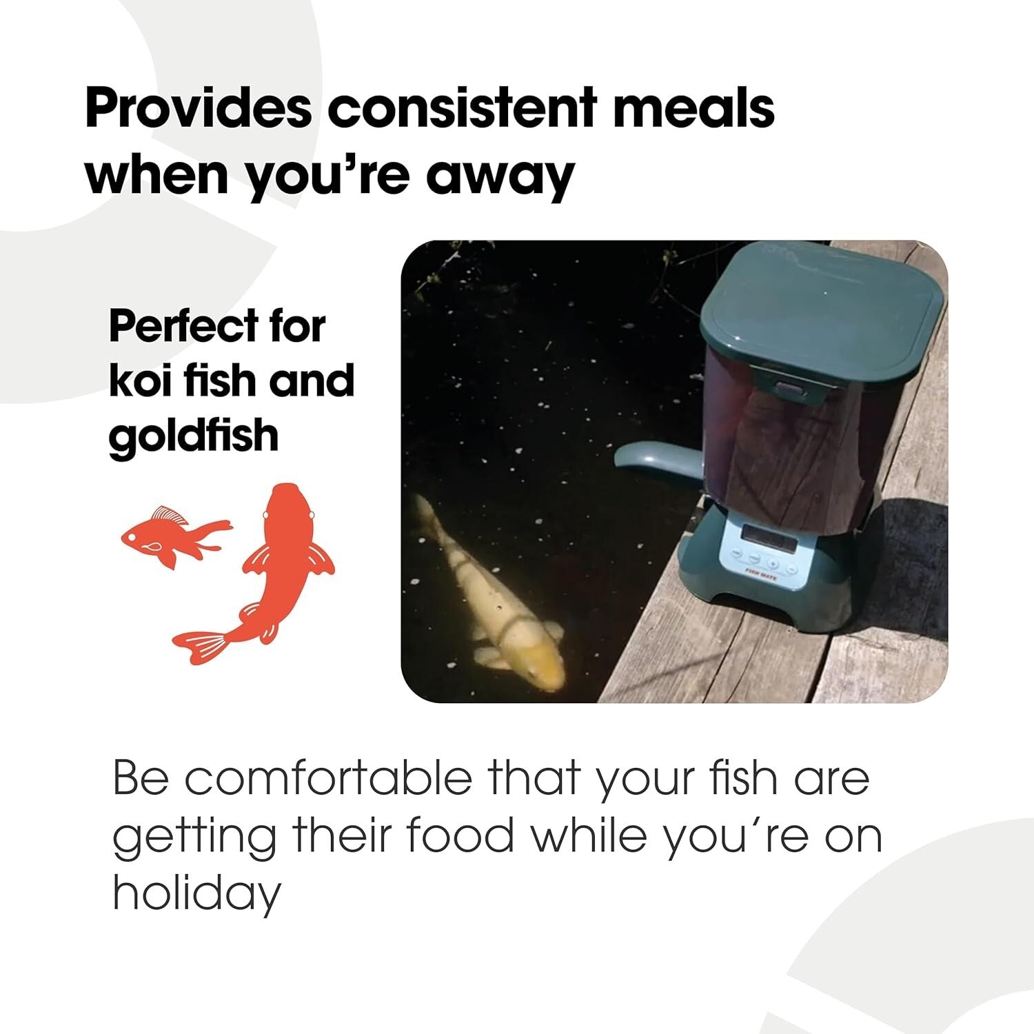 Rain-Resistant Pond Fish Feeder with 6.5 lbs Capacity - Portable & Programmable