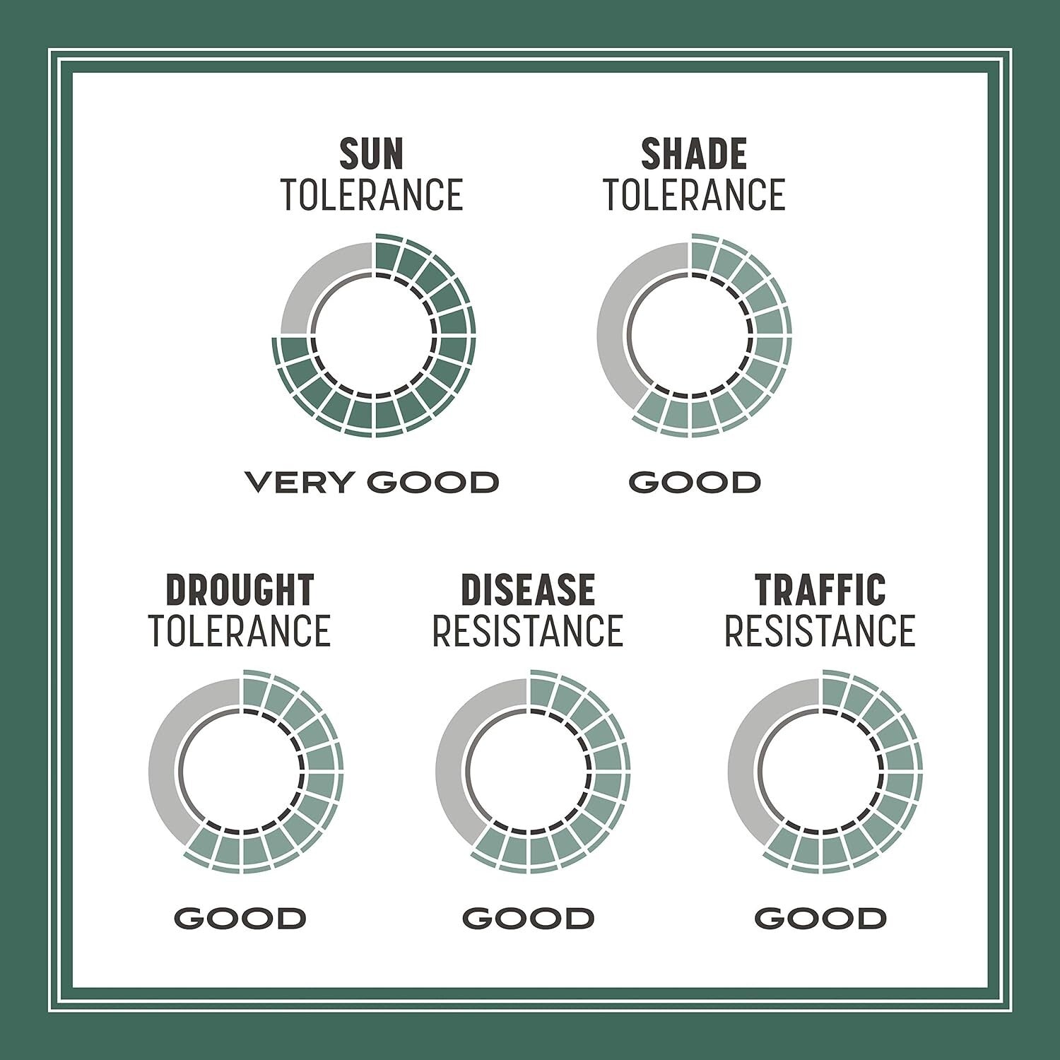 20 lb Kentucky 31 Tall Fescue Grass Seed - Economical, Drought-Resistant Turf