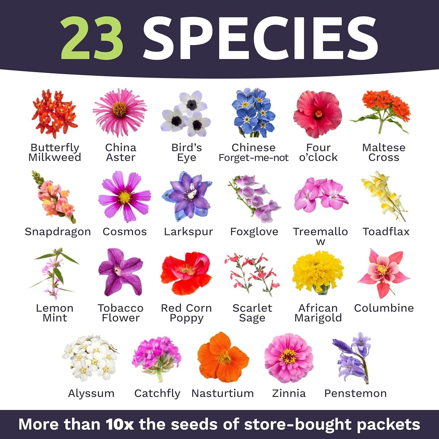 Bulk Wildflower Seed Mix for Butterflies & Hummingbirds - 5 Pounds Fresh Seeds