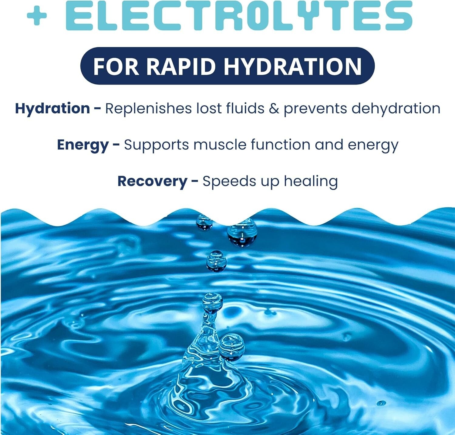 Natural Stomach Support Dog Food | Freeze-Dried Turkey, Sweet Potato, 6 Pack