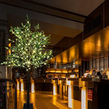 Load image into Gallery viewer, Stunning 6FT Olive Tree with Energy-Saving LED Lights - Indoor &amp; Outdoor Decor