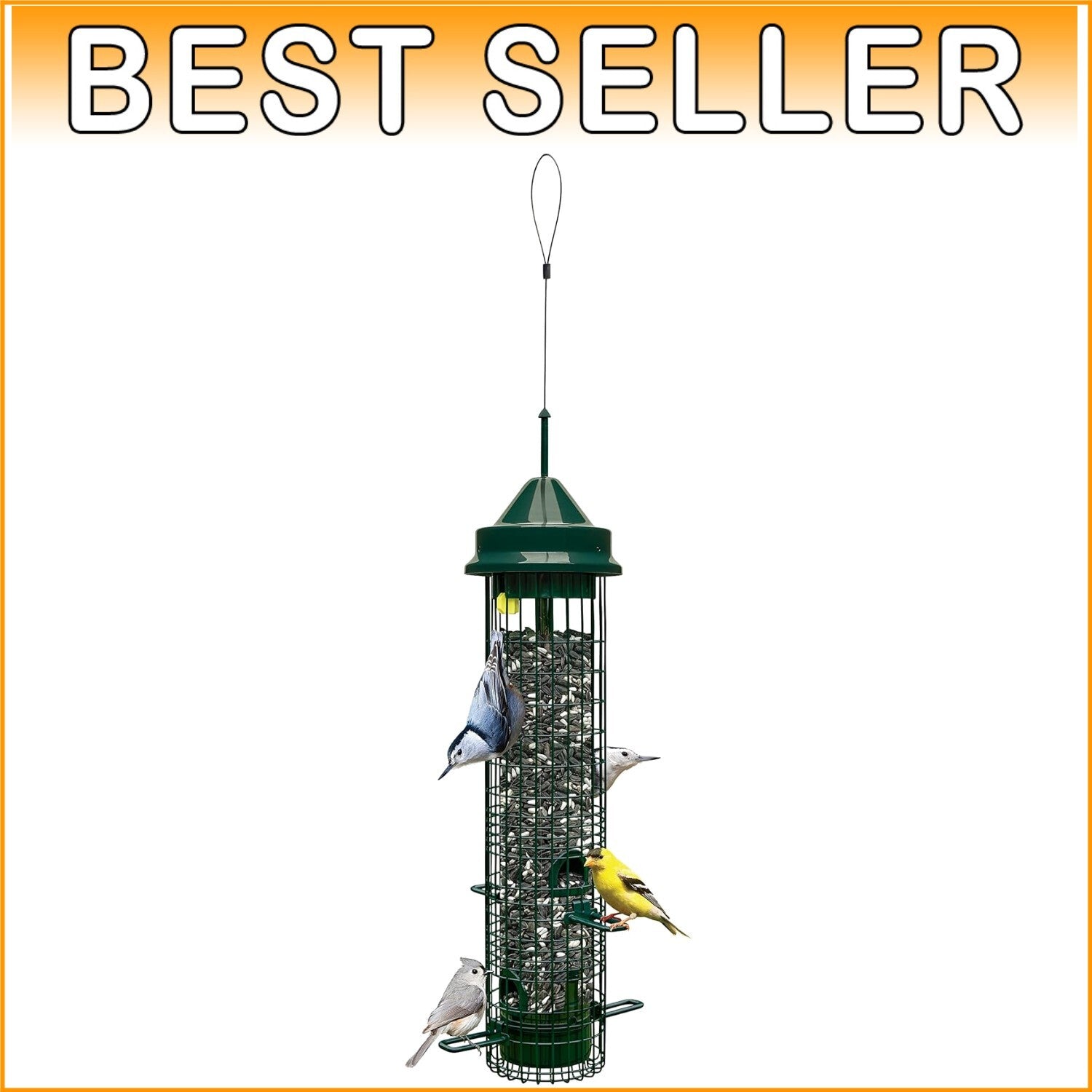Durable Squirrel-Proof Bird Feeder: 4 Feeding Ports & 2.4 lbs for Birdwatching