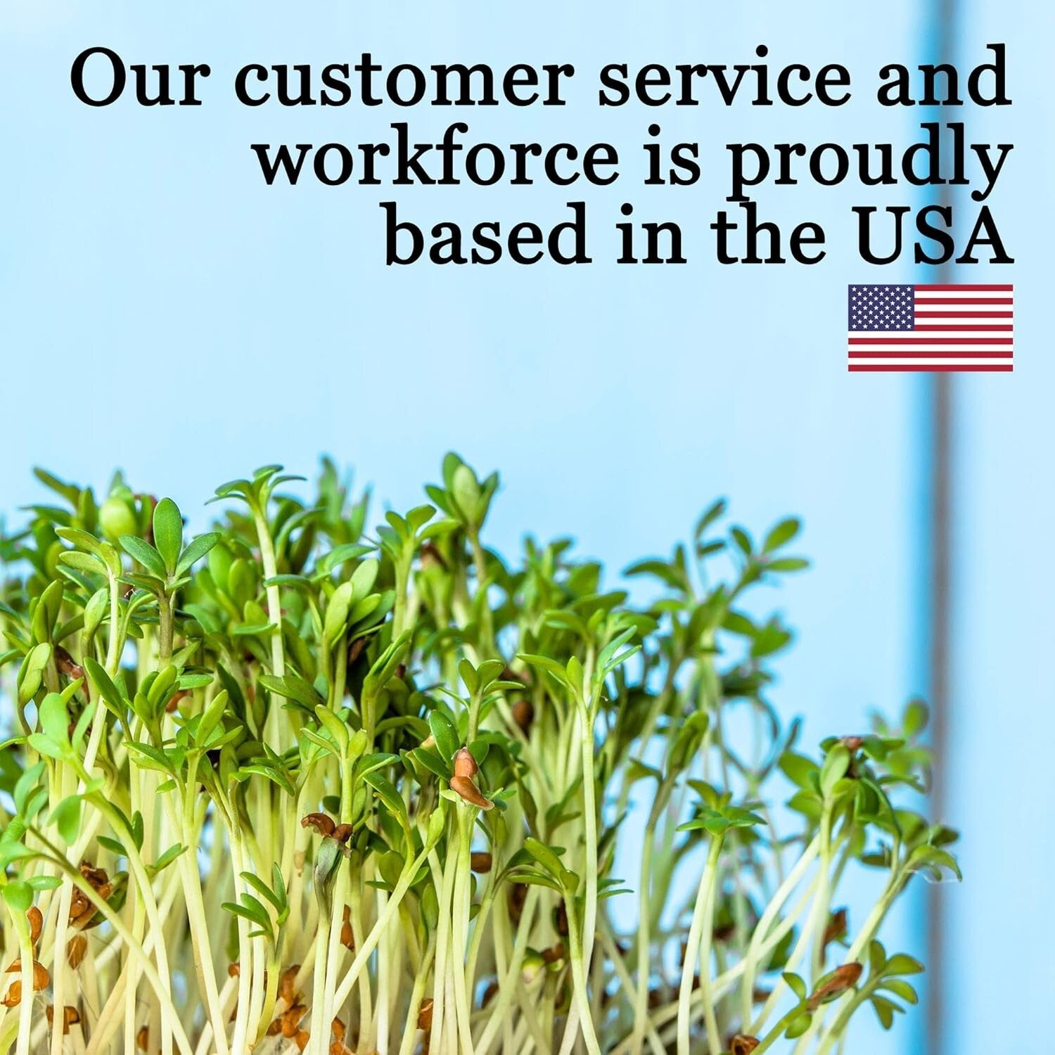 Eco-Friendly Hydroponic Trays - 10-Pack Plastic with Drain Holes for Seedlings