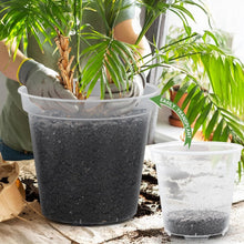 Load image into Gallery viewer, 5-Pack Durable Clear Plastic Planters - 12-Inch with Drainage for Plant Growth