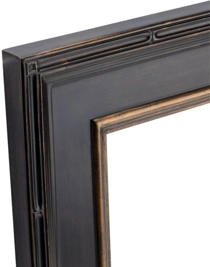 Luxurious Antique Black with Gold Picture Frame - 16x20, Open Back, Freestanding