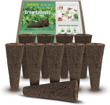 Load image into Gallery viewer, Biochar Cotton Hydroponic Seed Pods - 250 Pack for Effortless Germination