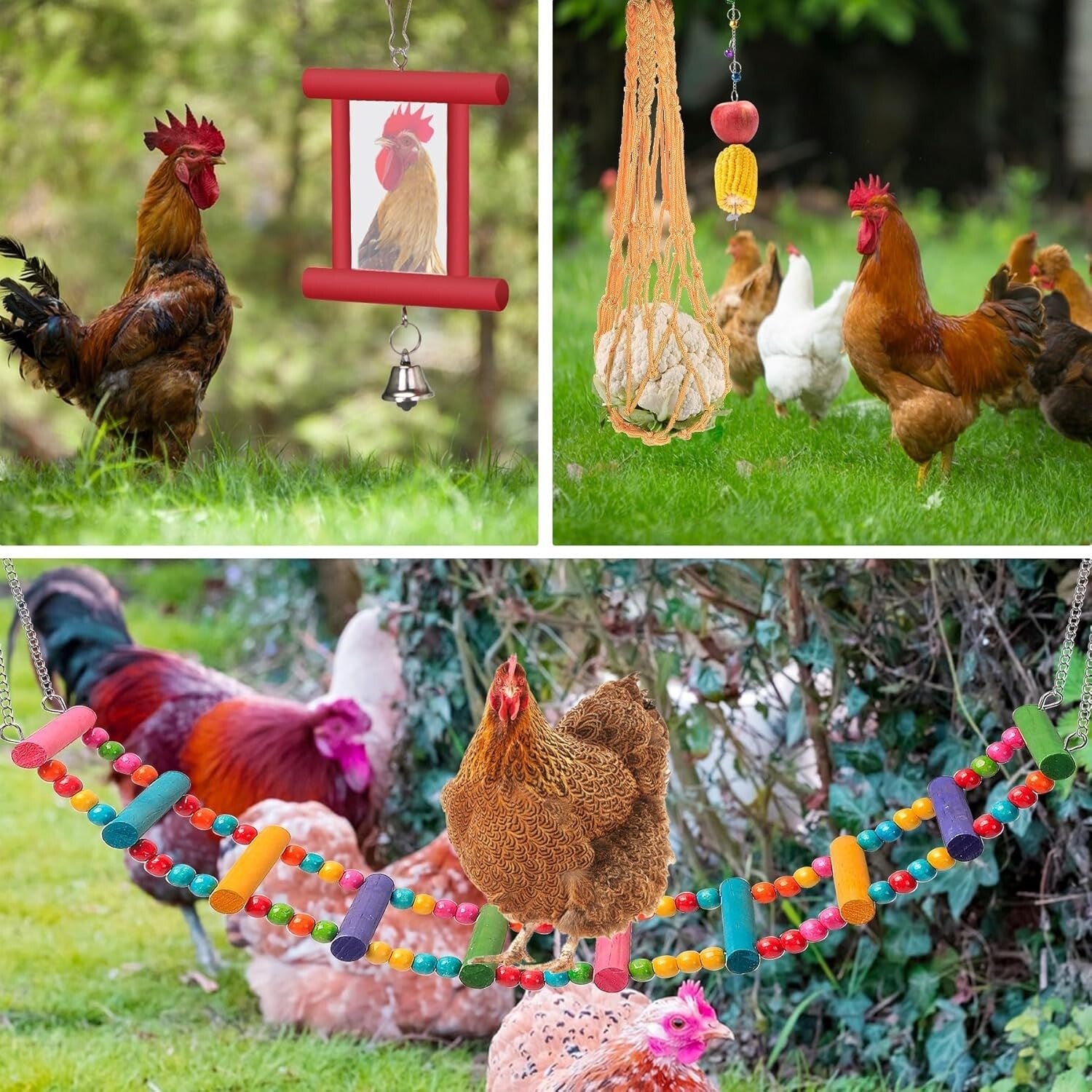 Durable Chicken Accessories Set: Perch, Swing & Fun for Backyard Hens