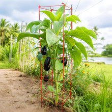 Load image into Gallery viewer, Rustproof 57-Inch Tomato Cages with 164 Ft Twist Ties – Perfect for Garden Use