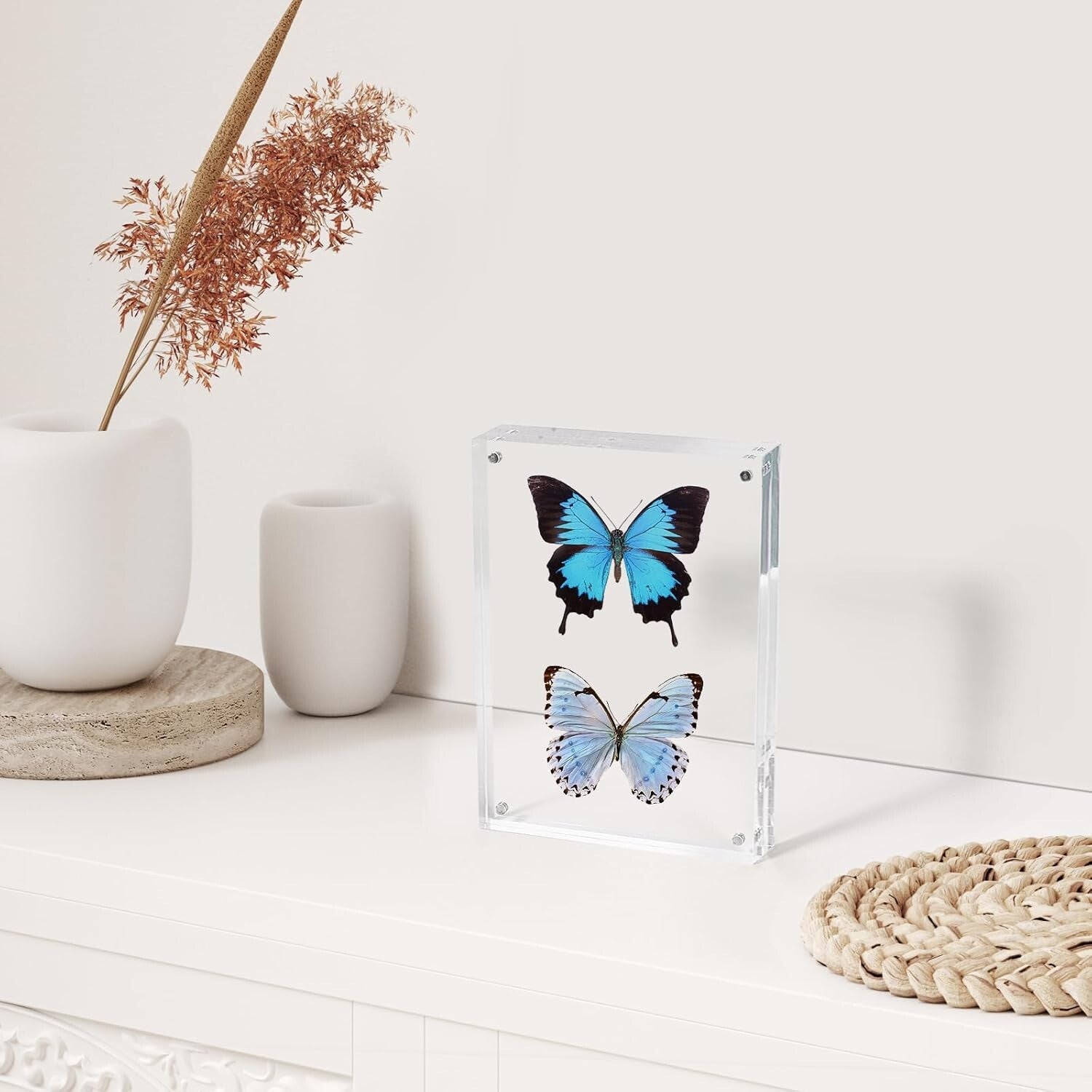 Double-Sided 4x6 Acrylic Frames 6 Pack - Perfect for Home or Office Display