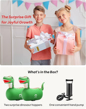 Load image into Gallery viewer, Adventurous Bouncy Dinosaur Toys for Kids - 2 Pack, Perfect Gift for Ages 5+