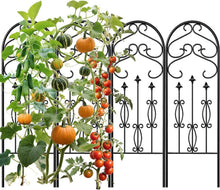 Load image into Gallery viewer, No-Assembly Required Black Metal Garden Trellis - Perfect for Outdoor Spaces