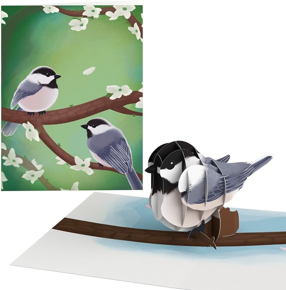 Celebrate Spring with 12 Assorted 3D Pop-Up Bird Cards & Envelopes Included