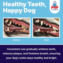 Load image into Gallery viewer, ProDenta Dental Care Powder: Natural Breath Freshener for All Breeds, 2.75 Oz