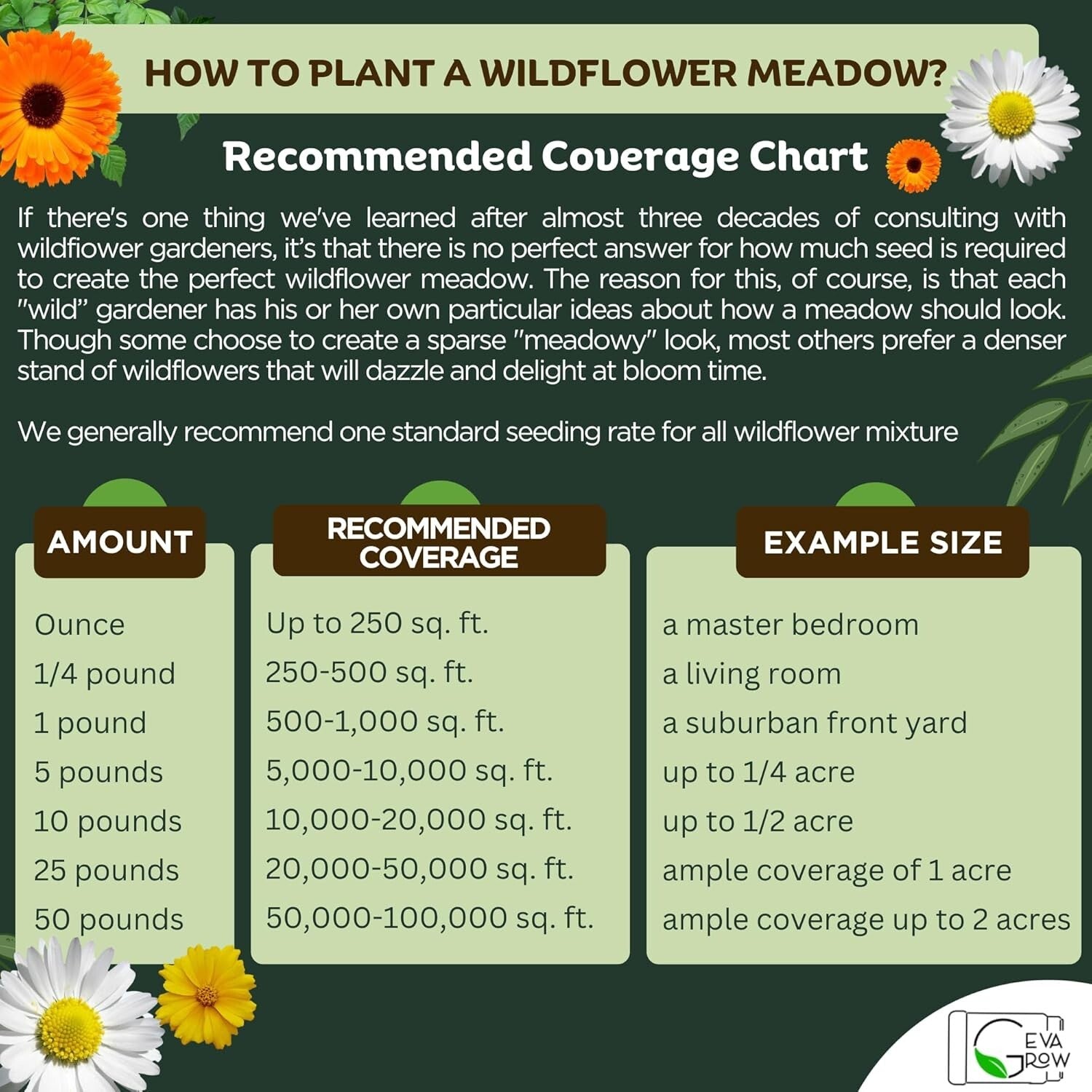 1LB Wildflower Seed Mix Tub - Attract Pollinators with 300,000+ Easy-Grow Seeds