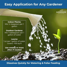 Load image into Gallery viewer, Universal 20-20-20 Water-Soluble Fertilizer - Ideal for All Plants, 4 Quarts