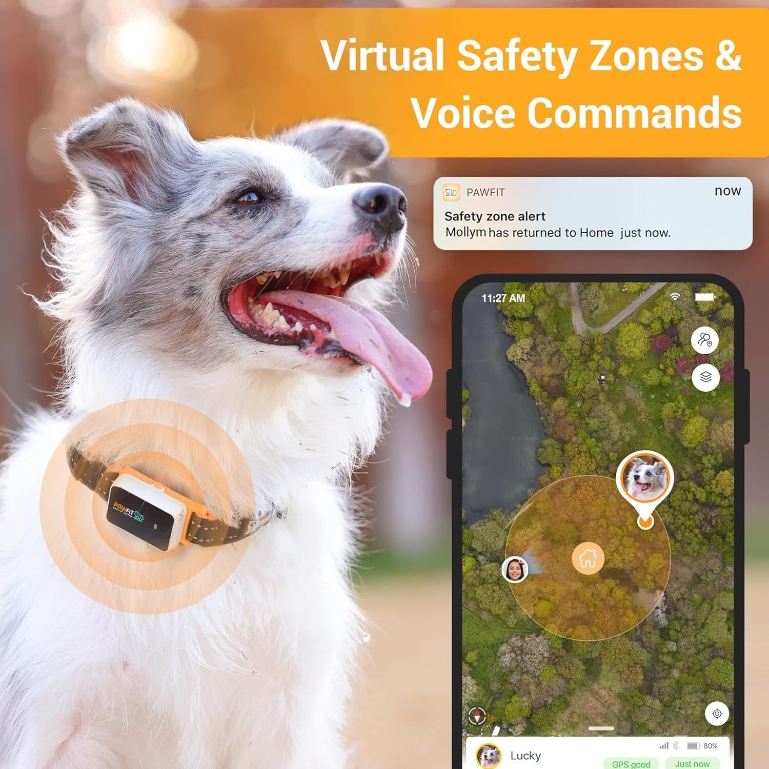 All-in-One GPS Dog Tracker: IP68 Waterproof, Live Tracking & Activity Monitor