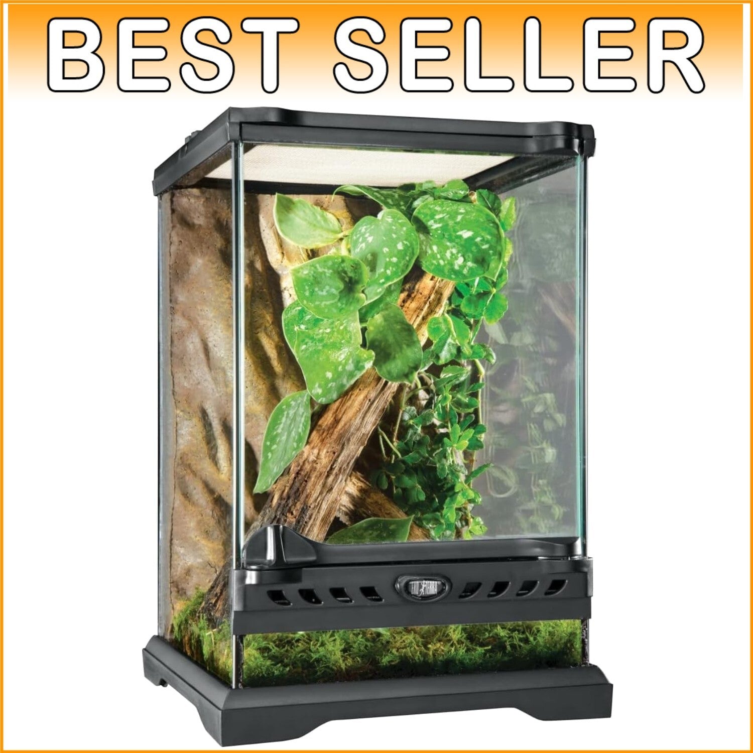 Elegant Nano Tall Reptile Terrarium - 8x8x12 Glass Habitat for Exotic Pets