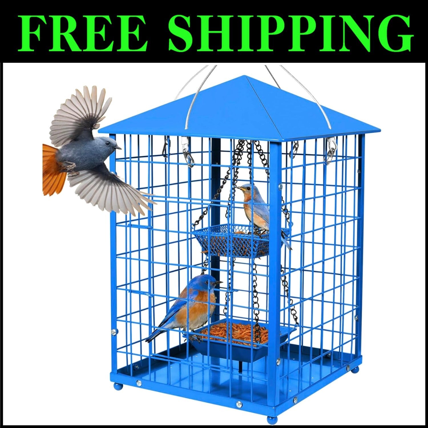 Weather-Proof Caged Bird Feeder for Bluebirds - DIY Compatible & 2lbs Capacity