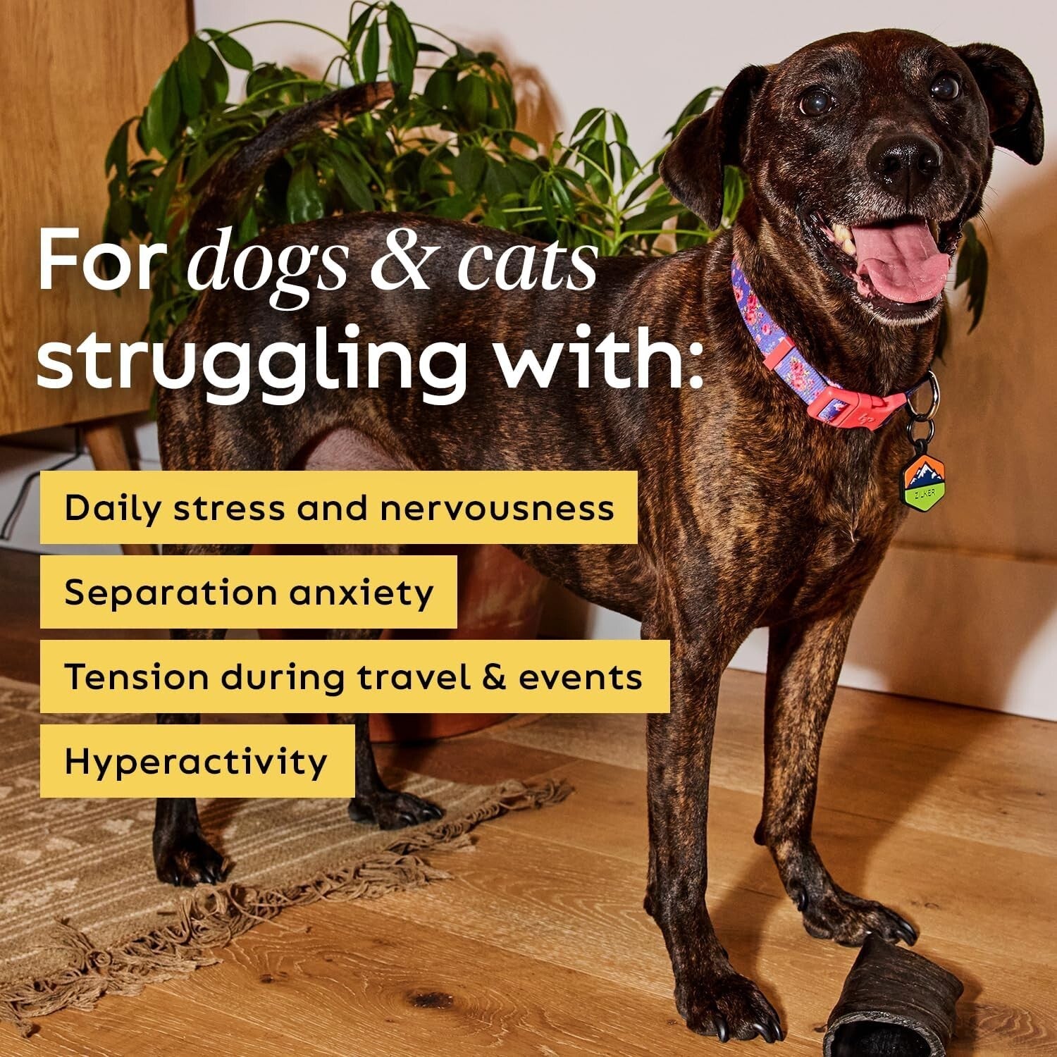 Organic Calming Pet Chews with Hemp & L-Tryptophan – 30 Beef Liver Soft Chews