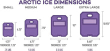 Load image into Gallery viewer, Versatile 2-Pack Reusable Ice Packs - Ideal for Camping, Fishing, and Traveling