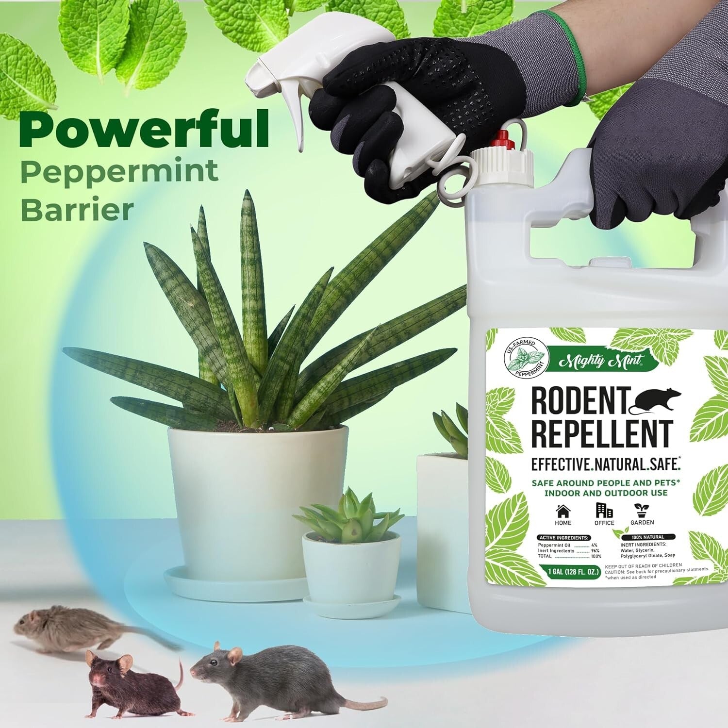 1 Gallon Natural Peppermint Oil Spray - Effective Rodent Repellent with Cloth