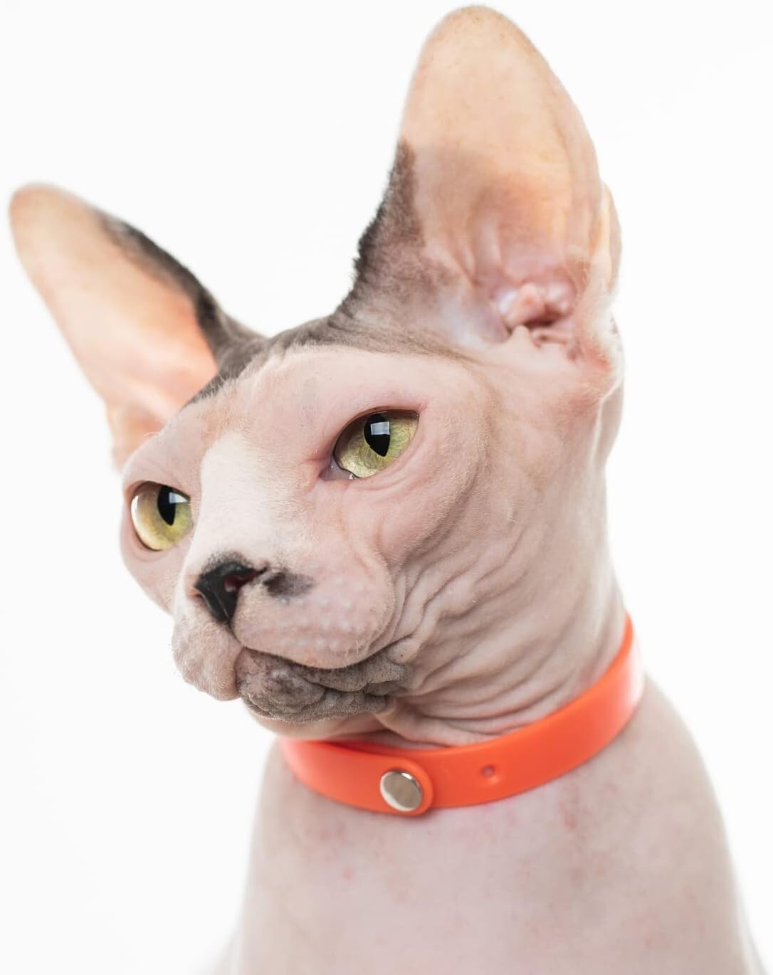 Soft Rubber Cat Collars with Breakaway Buckles - 5 Colors for Stylish Safety