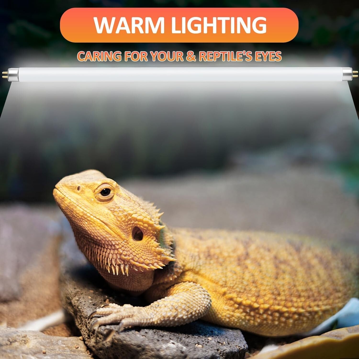 Premium 2 Pack of T5 UVB 39W Reptile Light Bulbs for Optimal UV Exposure