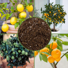 Load image into Gallery viewer, Nutrient-Rich 30 Quart Potting Mix for Potted Citrus Plants - Indoor/Outdoor