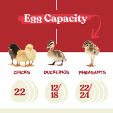 Load image into Gallery viewer, Automatic Egg Incubator for Chickens &amp; Ducks - Holds 12-22 Eggs with 360° View