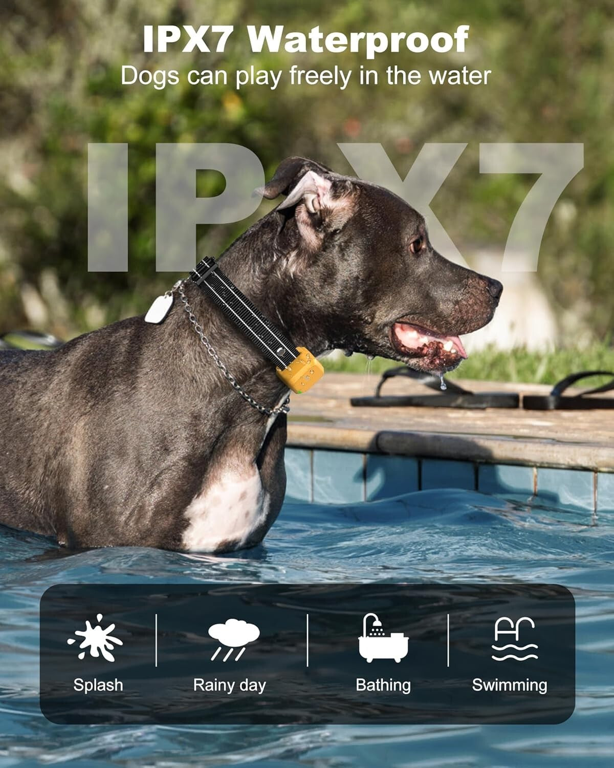 Humane Yellow Shock Collar for Dogs - 4 Training Modes, Waterproof & Lightweight