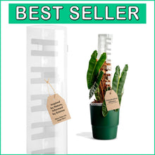 Load image into Gallery viewer, V3 Large Stackable Moss Poles - Transparent Plant Support for Climbing Plants