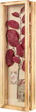 Load image into Gallery viewer, Stylish Carbonized Wood Shadow Box for Flowers &amp; Keepsakes - 25" Display