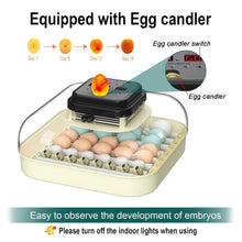 Load image into Gallery viewer, Efficient 35 Egg Incubator: Automatic Turning, Humidity Control &amp; Visual Design
