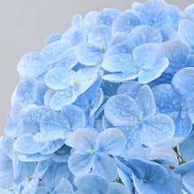 Load image into Gallery viewer, Stunning 21in Blue Hydrangea Floral Arrangement - 4 Artificial Flowers