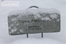 Load image into Gallery viewer, Large 11.5" Weather Resistant Zinc Plant Labels - 100-Pack for Gardening