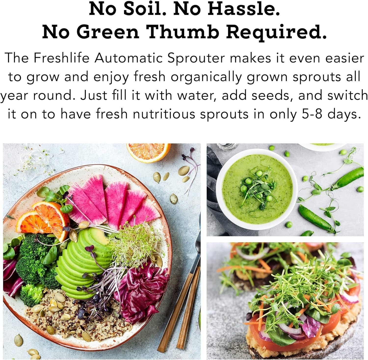 FreshLife FL-3000 Automatic Seed Sprouter - Year-Round Organic Sprouts