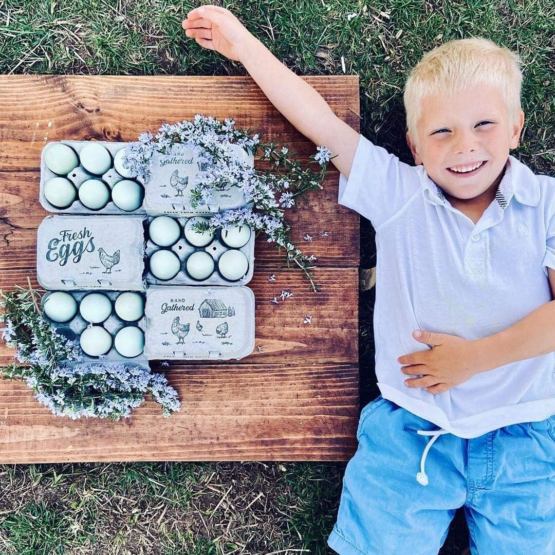 Charming Farm Fresh Egg Cartons - Half Dozen and Full Dozen Options in 250 Pack