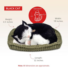 Load image into Gallery viewer, 10.75 Inch Lifelike Stuffed Black &amp; White Kitten - Ideal for Pet Lovers and Kids