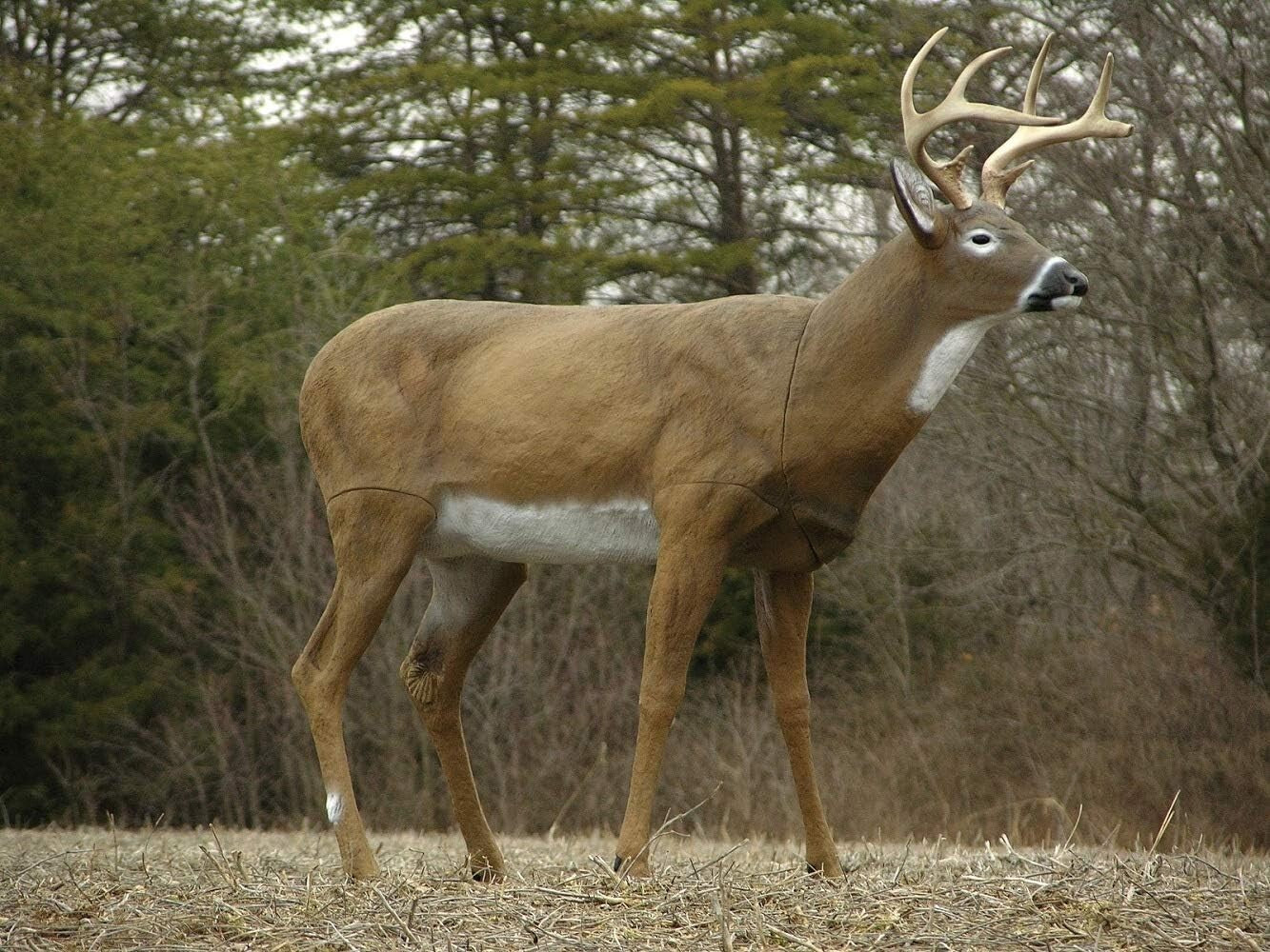 50-Inch Boss Buck Deer Decoy - Durable Hunting Companion for Attracting Game