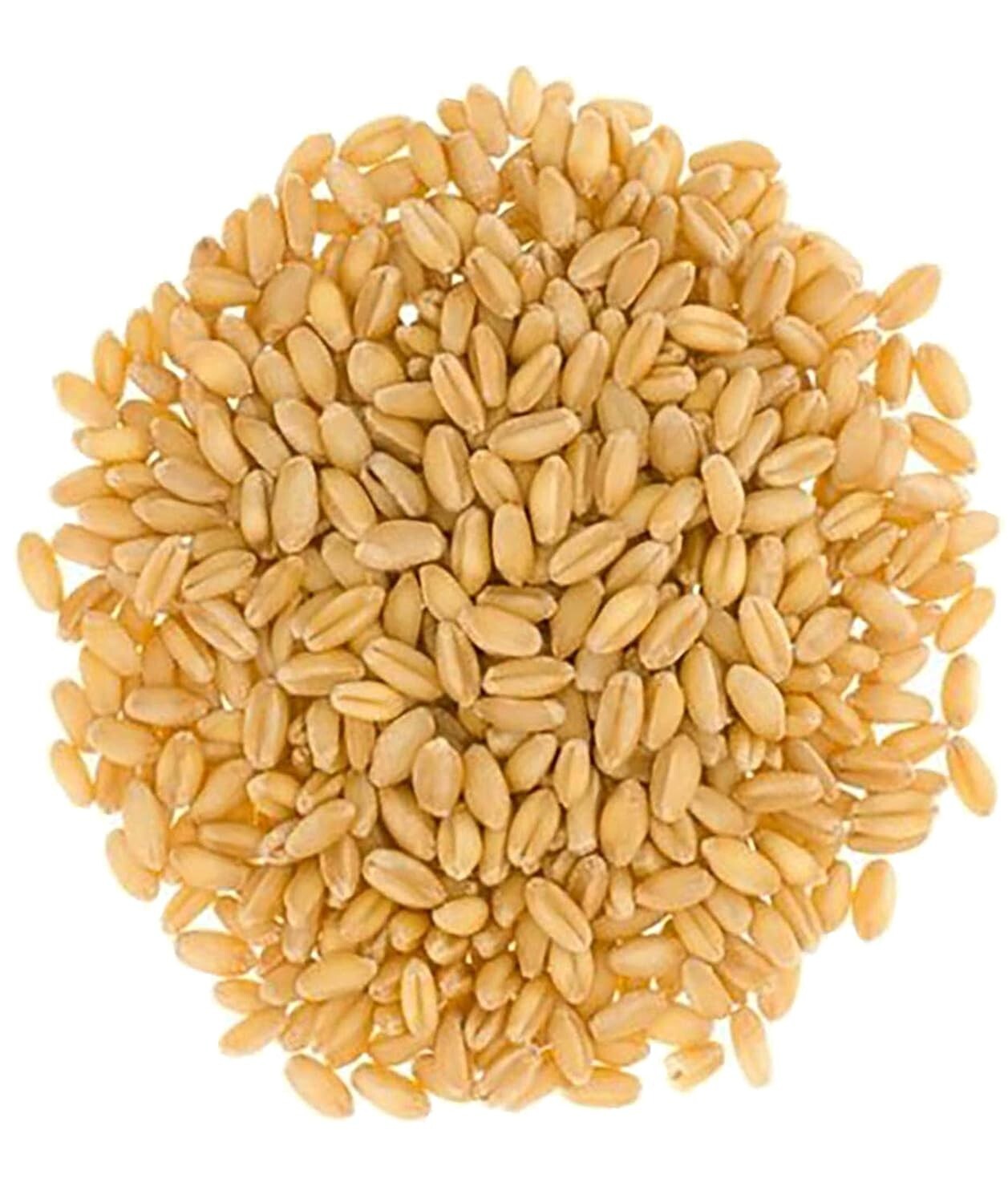 Farm-to-Table 18 LB Hard White Wheat Berries - Glyphosate-Free, Kosher Certified