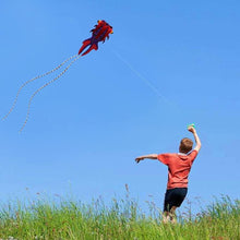 Load image into Gallery viewer, Giant 3D Dolphin Parafoil Kite - Easy Flyer for Kids &amp; Adults, 501.7" Long