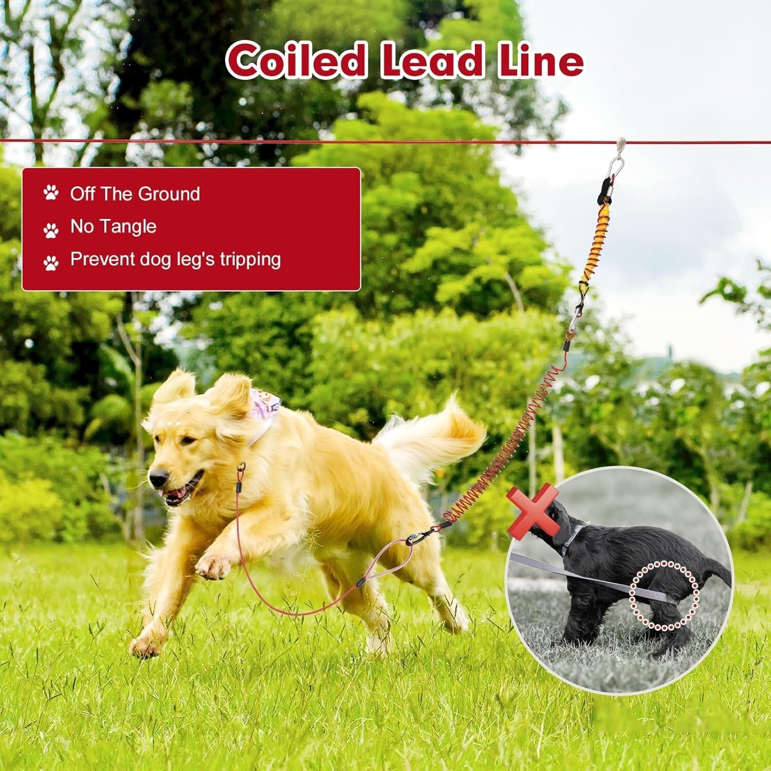 Tangle-Free Heavy-Duty Dog Zip Line - 75ft Anti-Shock System for 300lbs Dogs