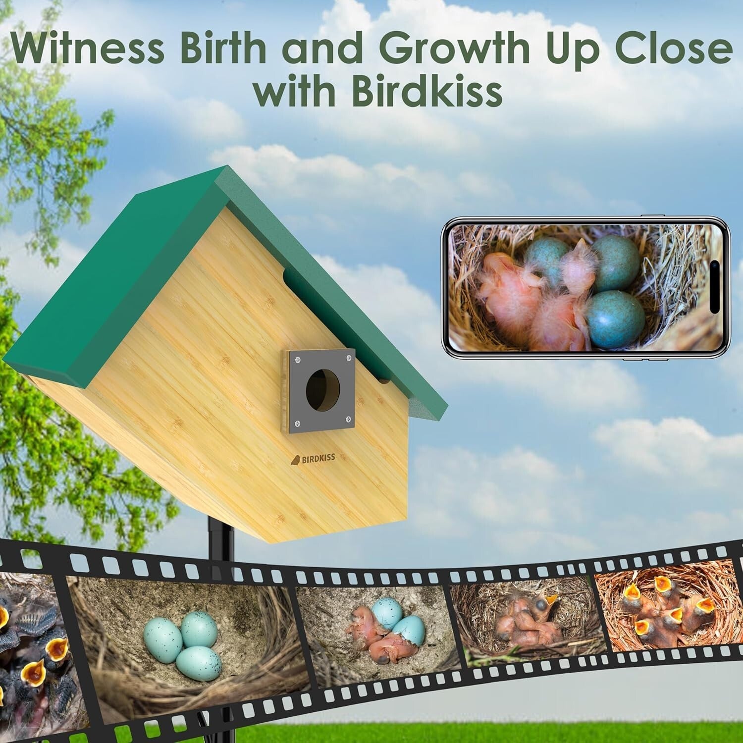 Educational Solar Birdhouse with Auto-Recording Camera for Kids & Nature Lovers